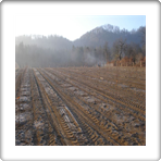 Zasaditev 13, 14.3.2012 006