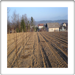 Zasaditev 13, 14.3.2012 007